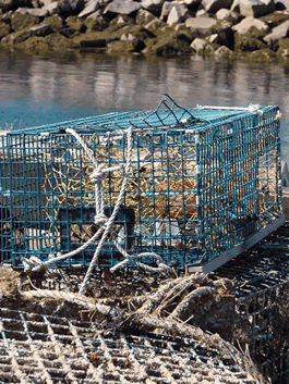 Lobster trap on pier