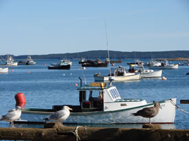 Machiasport Pier